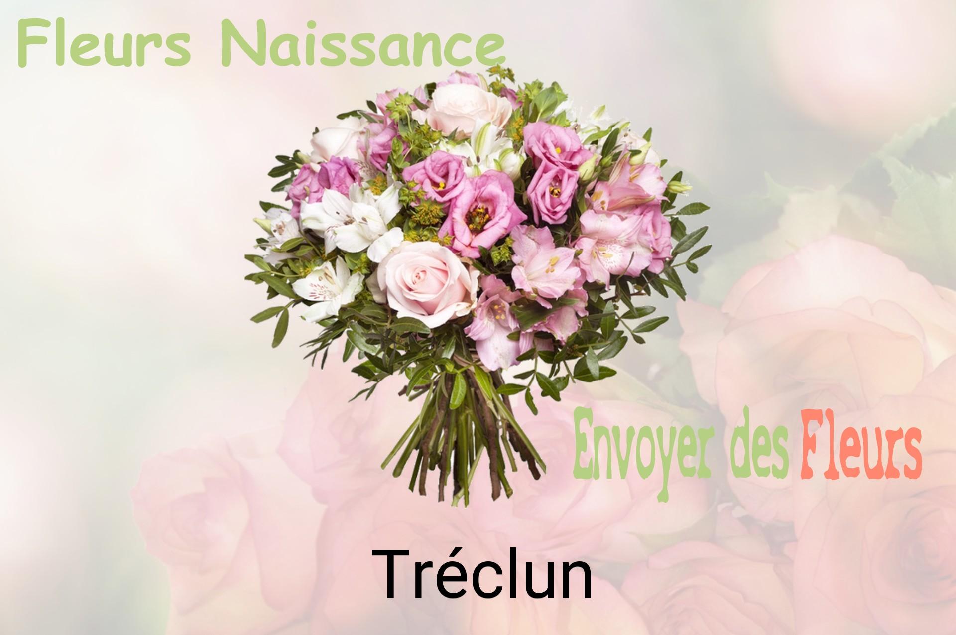 Bouquet de fleurs de naissance livré à Tréclun