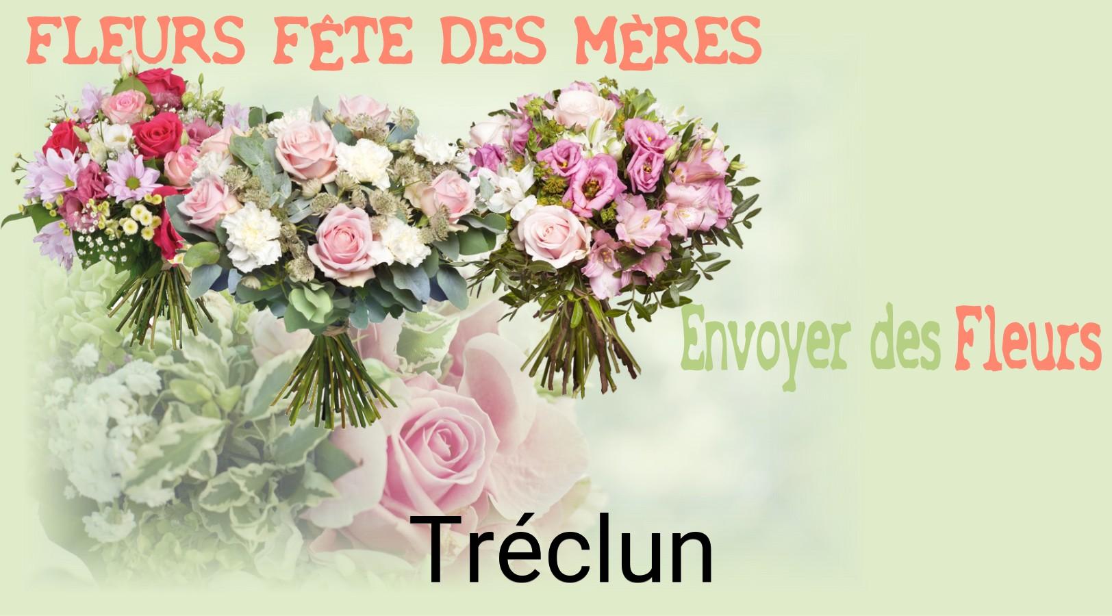 Bouquet de Fête des Mères livré à Tréclun